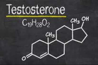 Testosterone Formula and Structure
